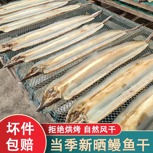 广东湛江特产淡晒鳗鱼干