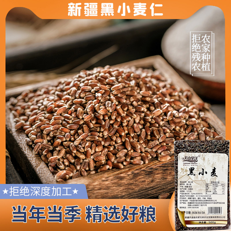 天山旱沃黑小麦仁黑麦粗粮杂粮农家煮粥焖饭当季新粮真空新疆特产