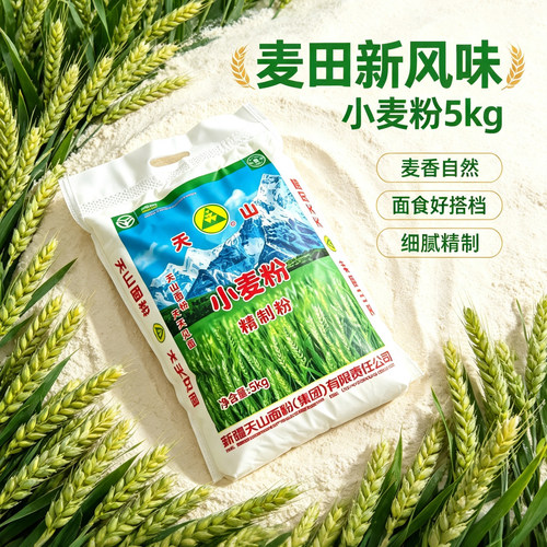 新疆天山牌精致粉厂家直供包邮