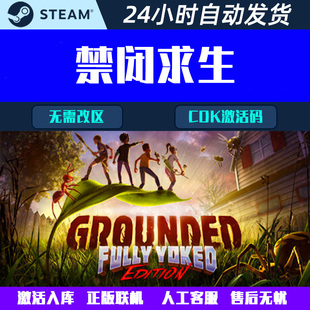 可正版联机 禁闭求生 Steam电脑联机合作游戏CDK激活码全球区国区