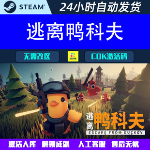 Steam电脑游戏CDK激活码 逃离鸭科夫 Duckov from Escape