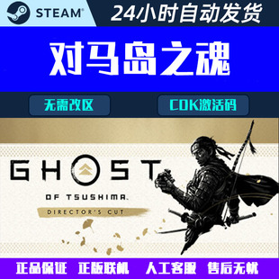 对马岛之魂导演剪辑版 PC STEAM CDK激活码联机Ghost of Tsushima