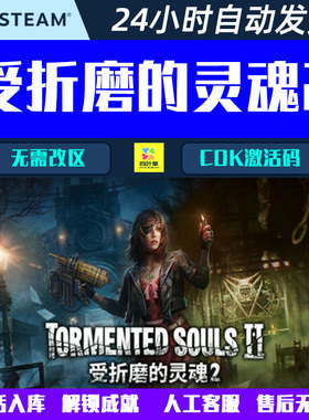 受折磨的灵魂2 Tormented Souls 2 Steam游戏CDK激活码