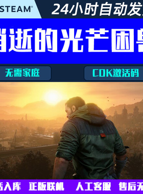 正版联机消逝的光芒困兽Dying Light: The Beast Steam游戏激活码