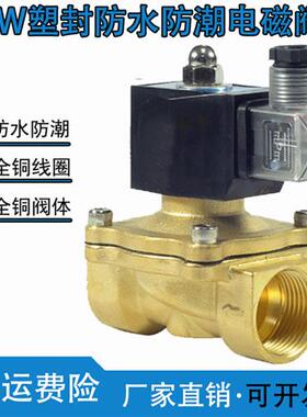 室外防水防雾防潮电磁阀水阀开关阀220VDC24V气阀排水DC12V4分6分