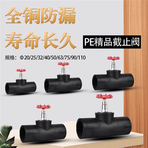 PE热熔停止阀升降式4分6分 20 25 32 40 50 63 75 90 110水管阀门