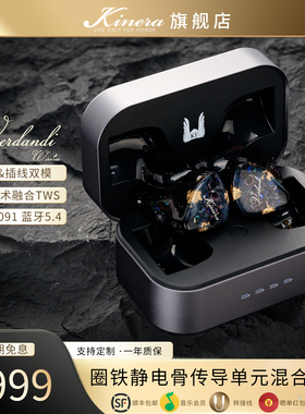 KINERA/王者时代Verdand薇儿丹蒂TWS蓝牙&有线双模HIFI入耳式耳机