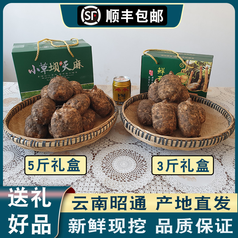 【礼盒装】昭通新鲜天麻云南小草坝现挖发货5斤4斤3斤,传统滋补营养品,天麻,淘宝优惠券,粉丝福利购,淘宝优惠卷