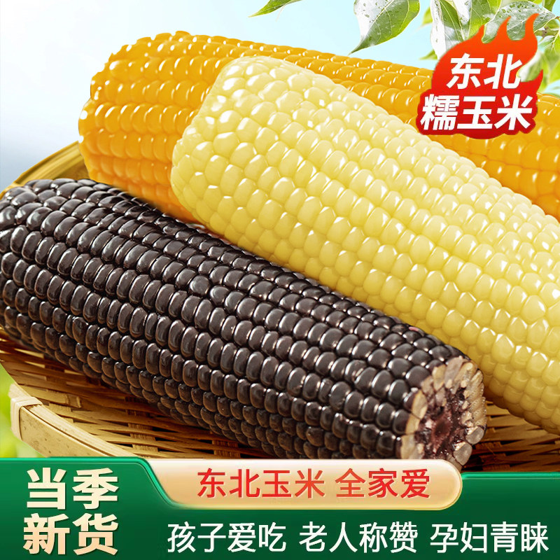 正宗东北白玉米黄糯玉米新鲜真空装包加热即食甜黏粘嫩黑玉米苞米
