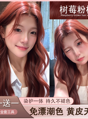 树莓粉棕染发膏剂树莓红色在家染头发免漂女显白复古红植物精华纯