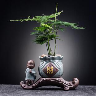 文竹盆栽绿植花盆室内花卉办公室桌面小盆景好养四季常青景观竹子