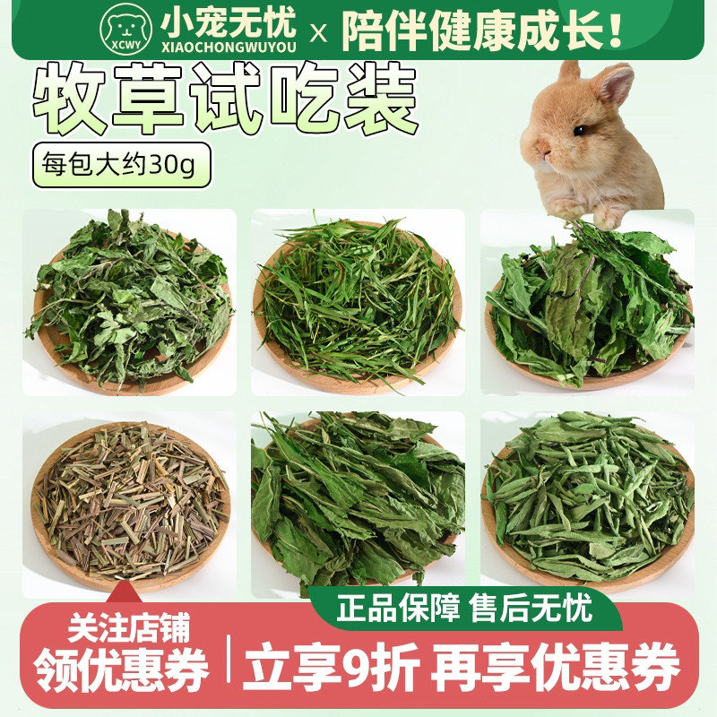 试吃草南提澳麦菊苣提摩西草苜蓿