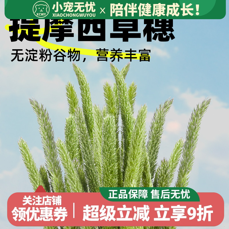 25烘干提摩西草穗 岷县北提兔子龙猫荷兰猪干草兔粮兔饲料磨牙草