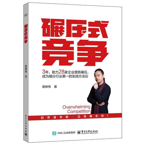 专为中小企业定制：本书专注于解决中国8000
