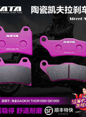 XATA陶瓷刹车片 适用高金GAOKIN THOR1000 GK HAWK1000碟刹皮配件
