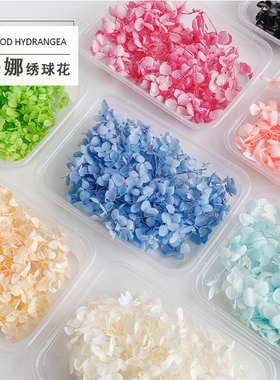 蔓玥永生花干花花材手工DIY材料