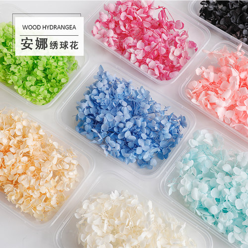 蔓玥永生花干花花材手工DIY材料