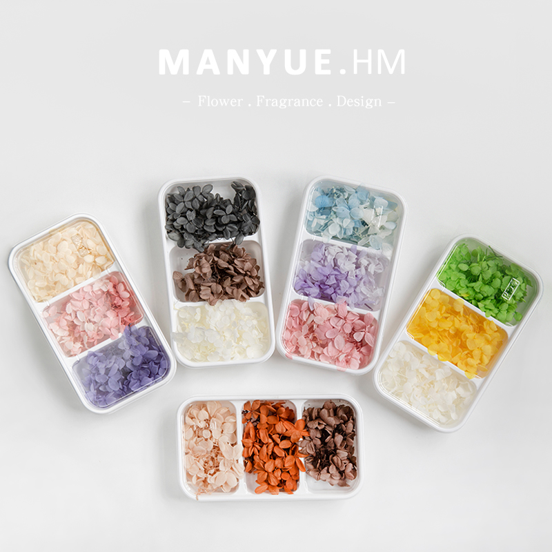 蔓玥手作 拼色永生绣球花渐变花瓣diy圣诞绣球礼物花艺伴手礼材料