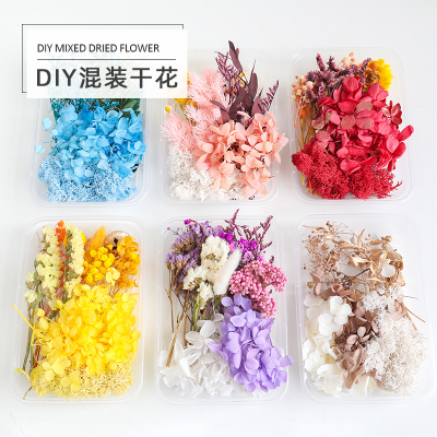 蔓玥手作干花团扇相框DIY材料