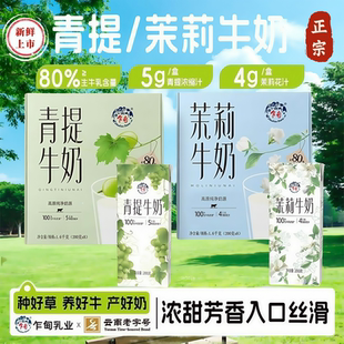 8盒 茉莉牛奶200g 高原牧场青提牛奶 2箱 乍甸
