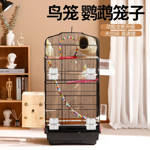 Товары от 安吉派特旗舰店