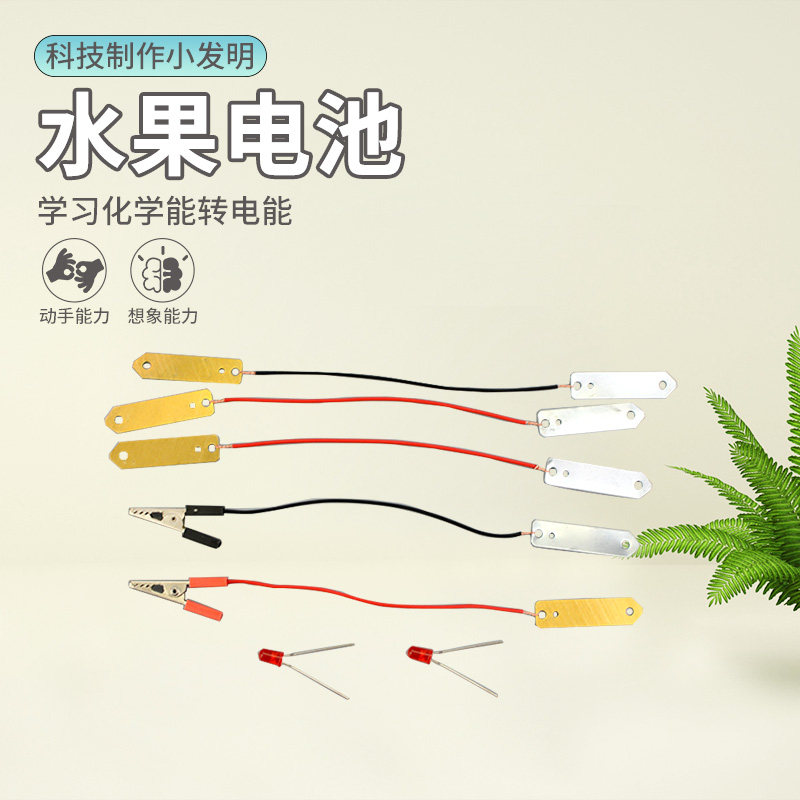 科技小制作手工水果电池实验材料DIY科学小实验器材儿童教学材料,文具电教/文化用品/商务用品,教学仪器/实验器材,淘宝优惠券,粉丝福利购,淘宝优惠卷