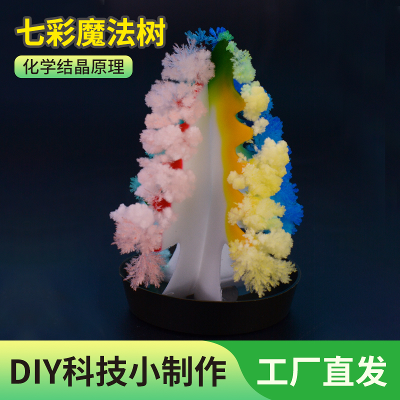 科学小实验纸花绽放魔法树