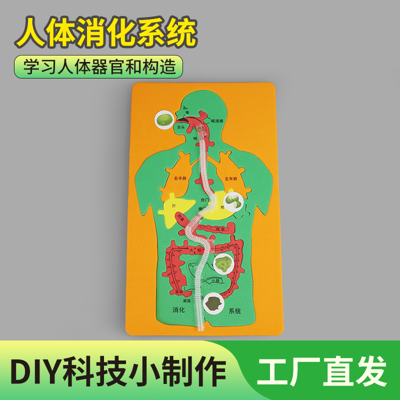 科技小制作小发明动手又动脑