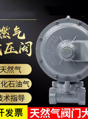1803B2燃气减压阀气化炉二级调压阀天然气调压器商用大流量可调节