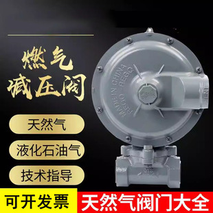 1803B2燃气减压阀气化炉二级调压阀天然气调压器商用大流量可调节