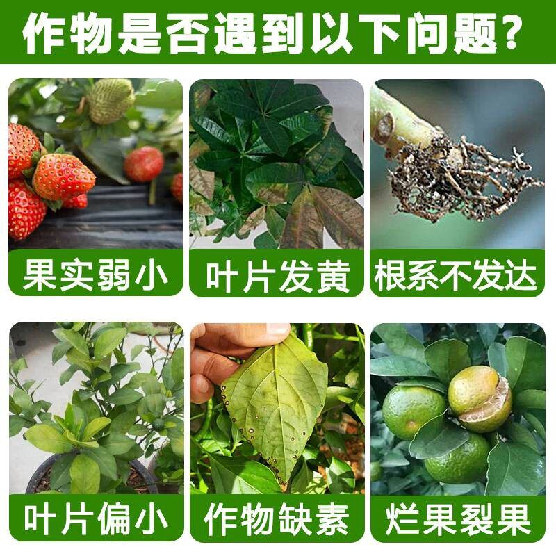 垦歌西班牙进口植物防冻液有机水叶面肥