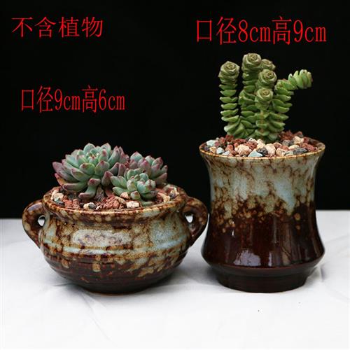 大口径多肉花盆组合拼盘套装简约陶瓷老个性桩小创意绿植室内花盆