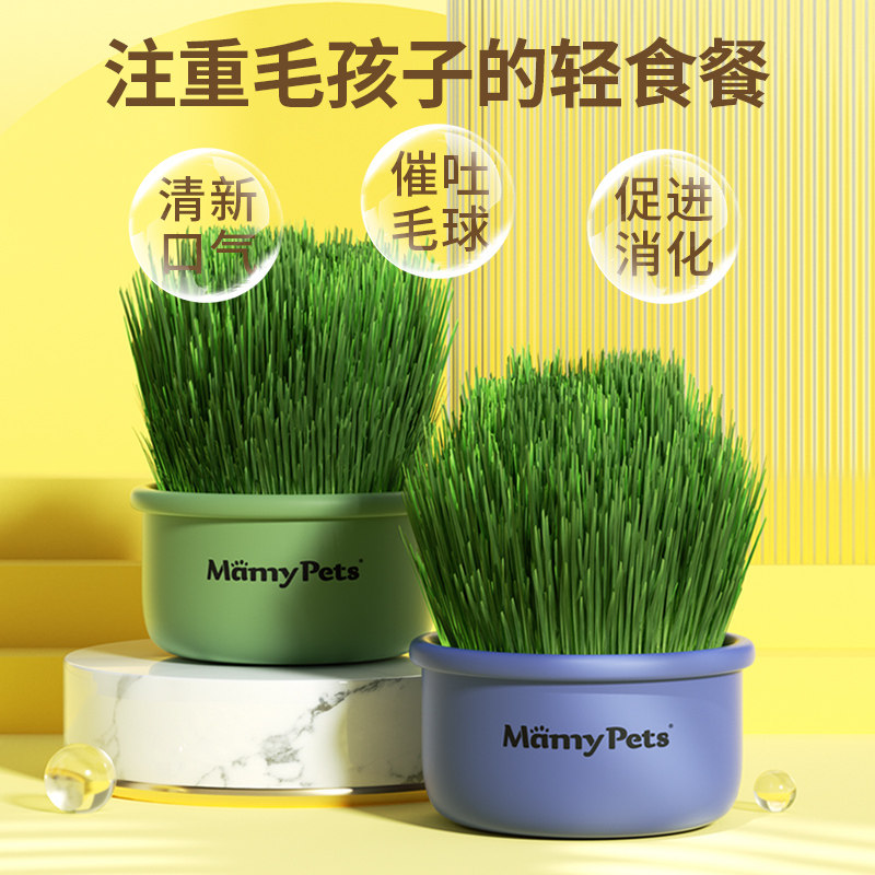 猫草盆栽幼猫咪化毛球草籽土培盒种植盆育苗盘懒人猫薄荷零食用品,宠物/宠物食品及用品,猫草/猫草片,淘宝优惠券,粉丝福利购,淘宝优惠卷