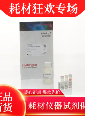 Invitrogen Qubit ssDNA 检测试剂盒 Q10212