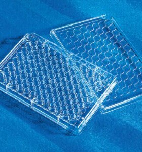 Corning康宁96孔板透明 圆底未处理表面无盖灭菌散装100块/箱3795