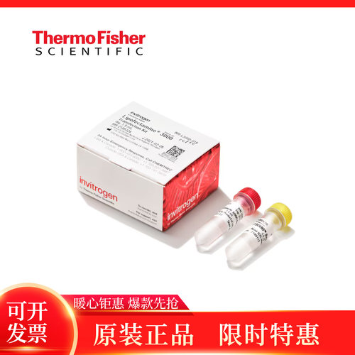 Lipofectamine3000转染试剂
