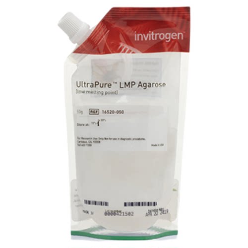 赛默飞Invitrogen™ 超纯™ 低熔点琼脂糖50g 16520050 16520100