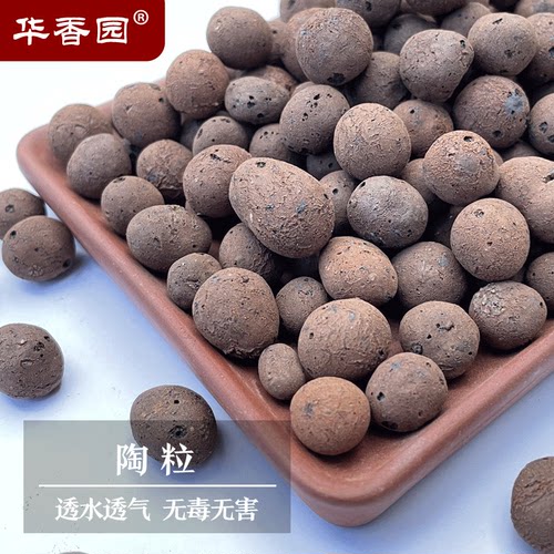 华香园 陶粒  颗粒基质介质铺面石兰花多肉种植植料土
