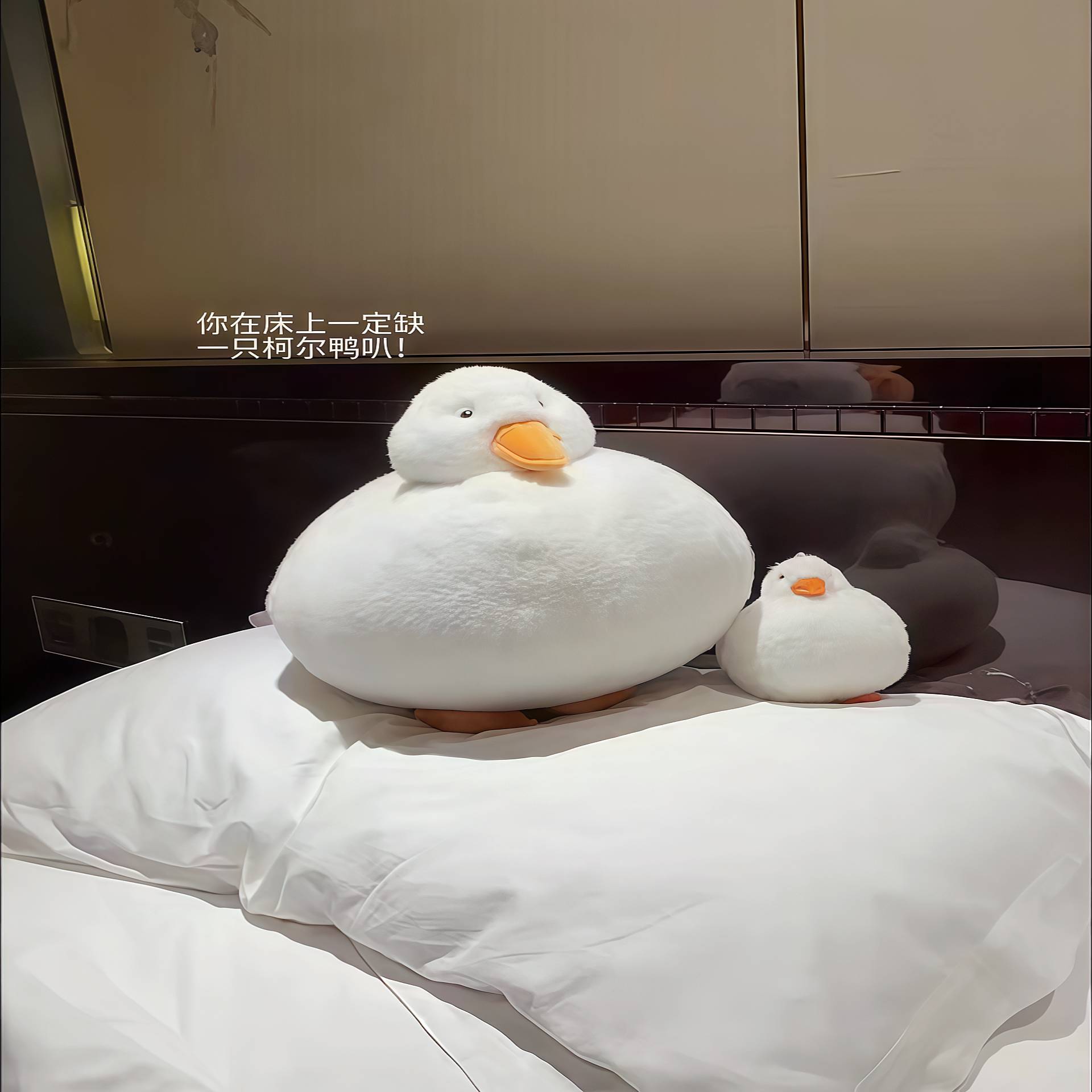 可爱柯尔鸭抱枕玩偶女生睡觉专用卡通可爱家居客厅沙发抱枕靠枕