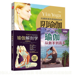 美梓 可开票 瑜伽从新手高 编者 瑜伽解剖学 北京联合 正版 9787550252011 阴瑜伽