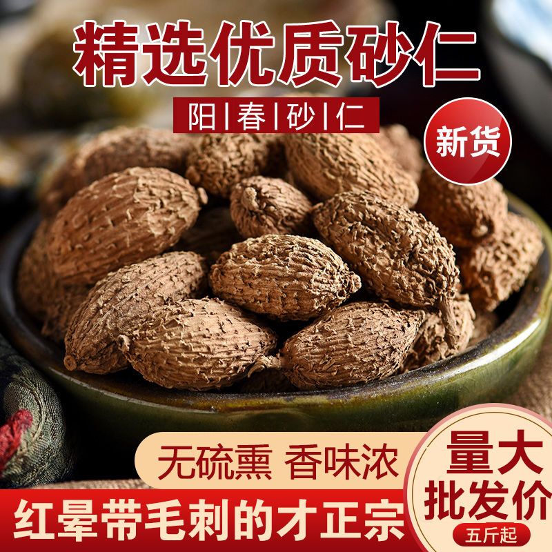 砂仁毛砂仁砂仁毛砂仁春砂仁毛砂仁卤料大全香料大全调料大全砂仁