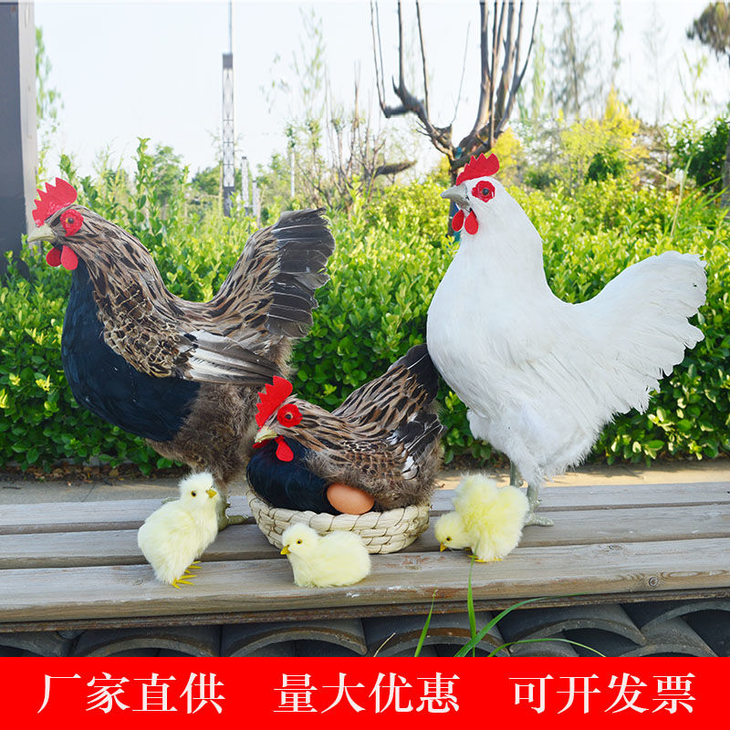 真羽毛仿真鸡模型公鸡母