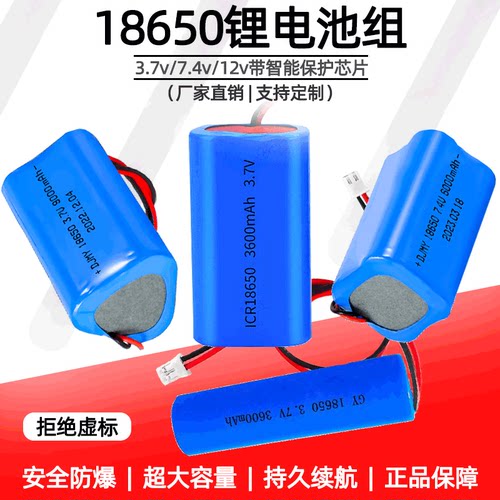 18650锂电池组带线充电电池