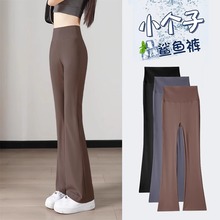 冰丝微喇鲨鱼裤女外穿2025新款夏薄款高腰收腹提臀打底瑜伽喇叭裤