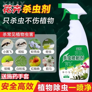 杀花盆小黑飞虫菊花长寿茉莉栀子花生虫子药杀虫剂室内盆栽花去虫