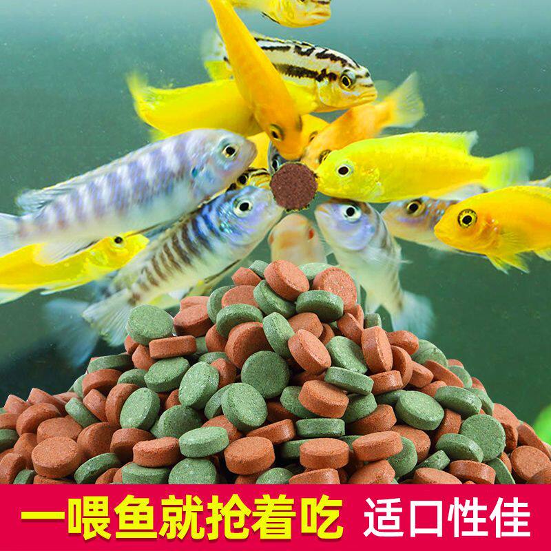 贴片鱼食小型鱼鱼粮鱼饲料孔雀鱼锦鲤金鱼灯科斗鱼热带观赏丰年虾_虎窝淘