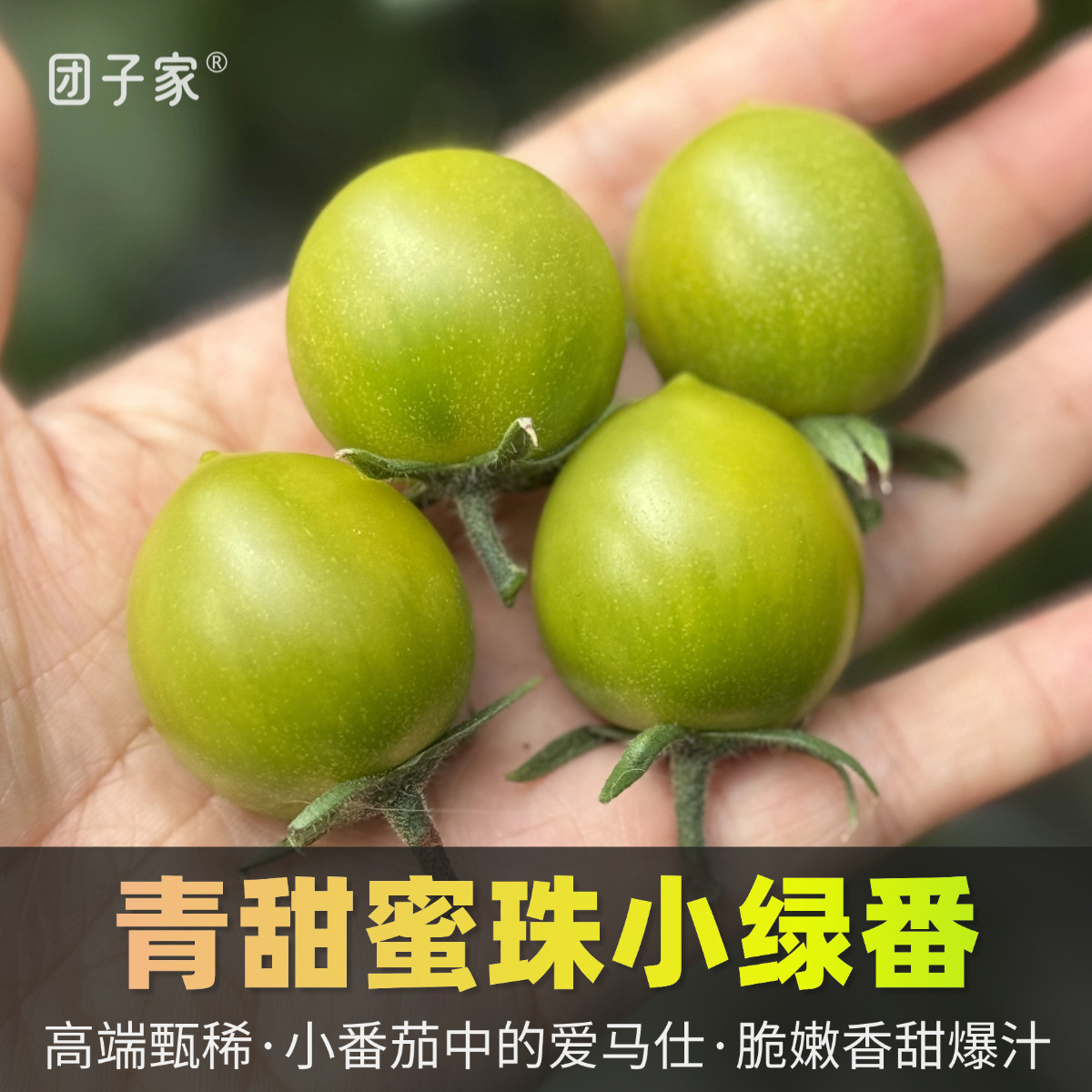 香甜回归&middot;团子家的果园翡翠青甜2号小番茄绿色青口蜜青霞绿宝石
