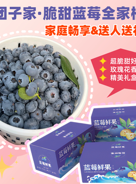 全家桶· 团子家的果园云南脆甜花香蓝莓一桶装蓝莓2.4斤L25顺丰