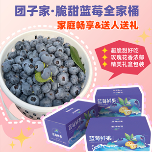 蓝莓2.4斤L25顺丰 果园云南脆甜花香蓝莓一桶装 全家桶· 团子家