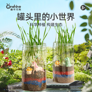 onshine我的秘密花园儿童种植玩具罐头微景观植物科学小实验玩具